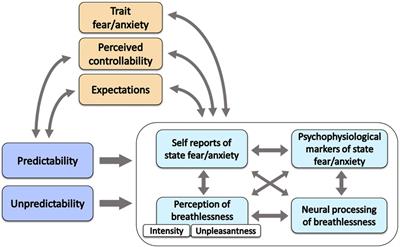 The effect of unpredictability on the perception of breathlessness: a narrative review